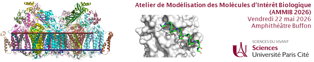 Atelier de Modélisation des Molécules d'Intérêt Biologique 2026>