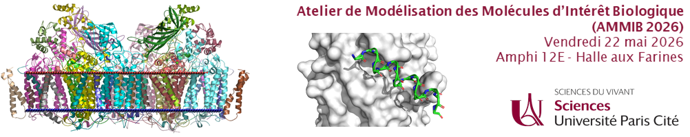 Atelier de Modélisation des Molécules d'Intérêt Biologique 2026>
